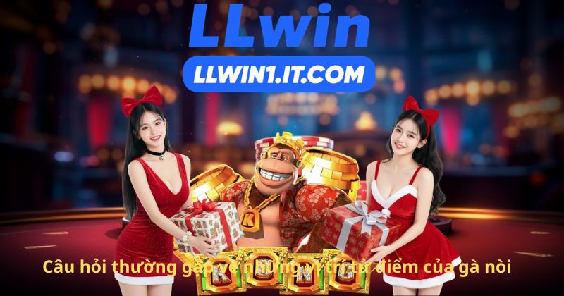 Câu hỏi thường gặp về những vị trí tử điểm của gà nòi